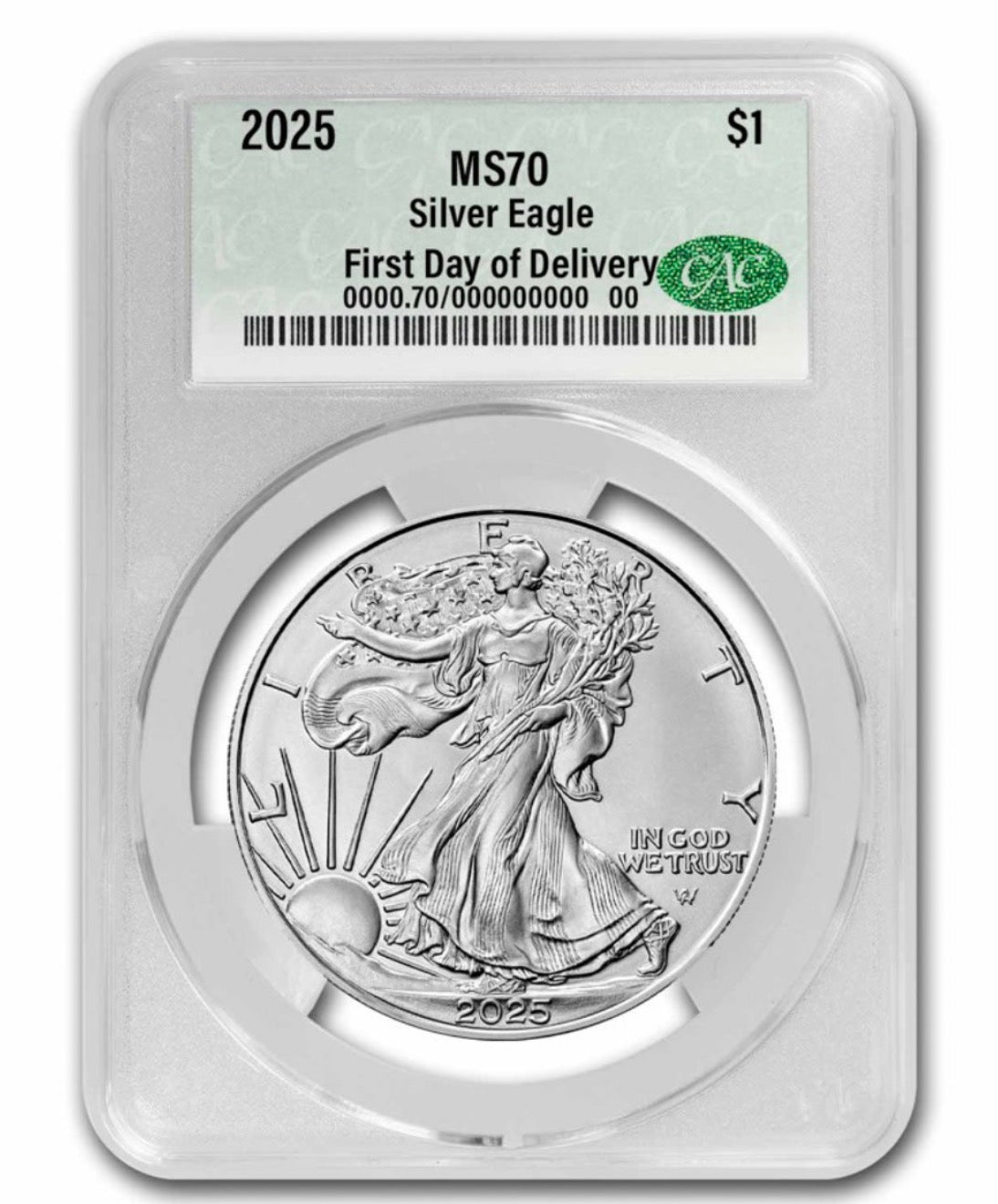 MS70 Silver Eagle